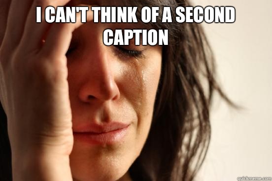 I can't think of a second caption    First World Problems