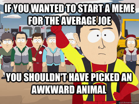 if you wanted to start a meme for the average joe you shouldn't have picked an awkward animal  Captain Hindsight