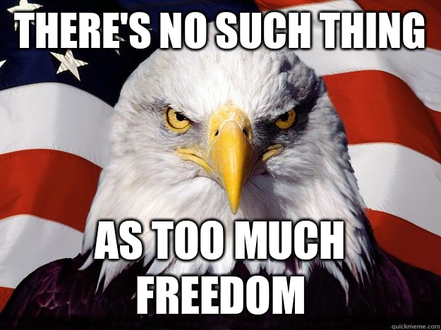 There's no such thing As too much Freedom  Freedom Eagle
