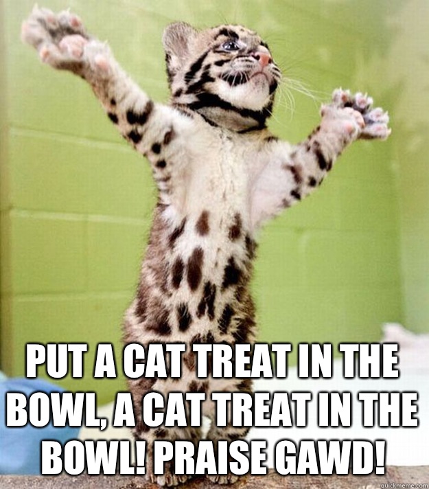 Put a cat treat in the bowl, a cat treat in the bowl! Praise Gawd!  