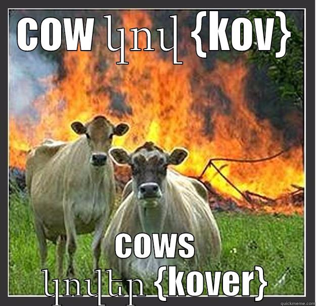 COW ԿՈՎ {KOV} COWS ԿՈՎԵՐ {KOVER} Evil cows