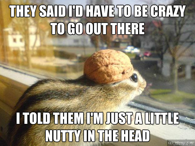 they said I'd have to be crazy to go out there I told them I'm just a little nutty in the head - they said I'd have to be crazy to go out there I told them I'm just a little nutty in the head  Adventure Chipmunk