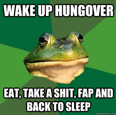 wake up hungover eat, take a shit, fap and back to sleep  Foul Bachelor Frog