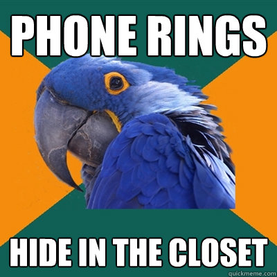 phone rings hide in the closet  Paranoid Parrot