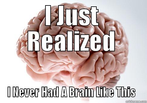 I JUST REALIZED I NEVER HAD A BRAIN LIKE THIS  Scumbag Brain
