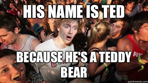 His Name is Ted Because He's a Teddy Bear  Sudden Clarity Doctor