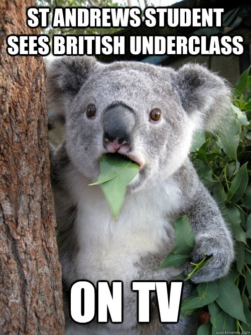 St andrews student sees british underclass on tv  Surprised Koala