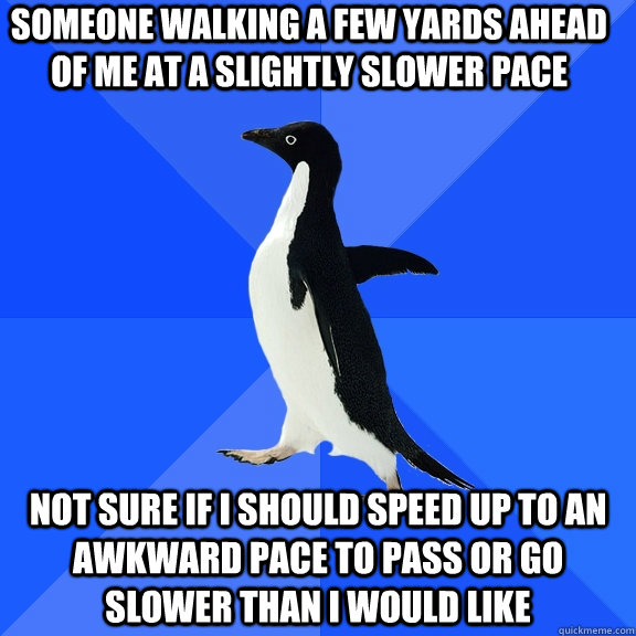 someone walking a few yards ahead of me at a slightly slower pace not sure if i should speed up to an awkward pace to pass or go slower than i would like  Socially Awkward Penguin