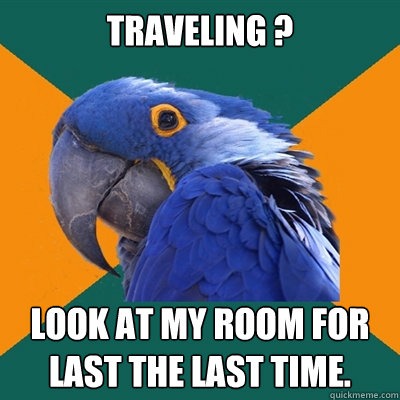 Traveling ?
 lOOK AT MY room for last the last time.  Paranoid Parrot