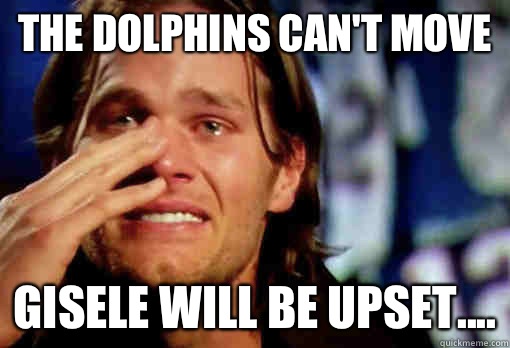The Dolphins can't move Gisele will be upset....  Crying Tom Brady