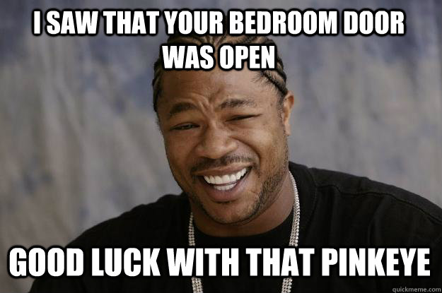 I saw that your bedroom door was open Good luck with that pinkeye  Xzibit meme