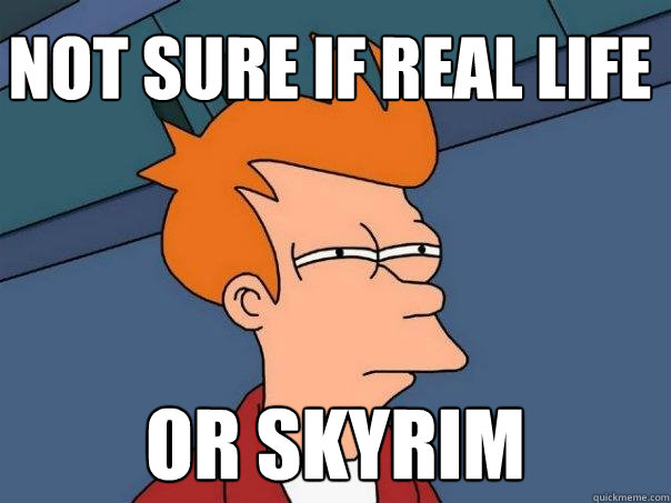Not sure if Real life  Or skyrim  Futurama Fry