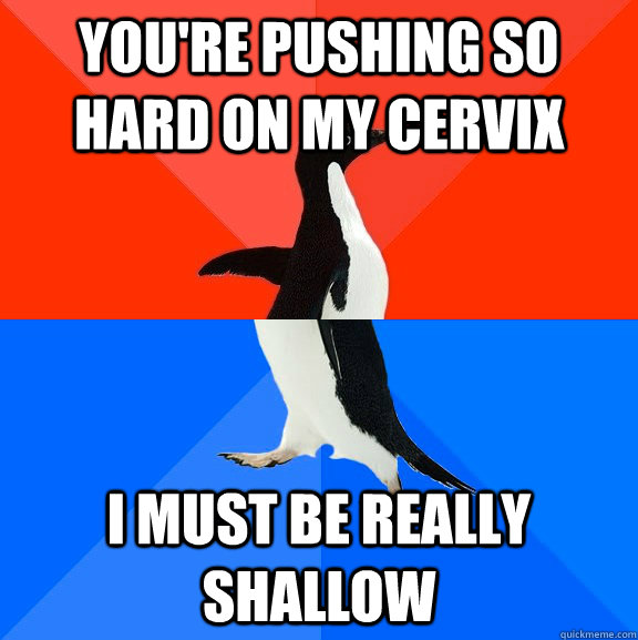 You're pushing so hard on my cervix i must be really shallow  Socially Awesome Awkward Penguin