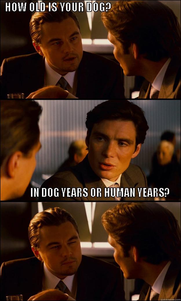   HOW OLD IS YOUR DOG?                                                                                                                                                                                                                                                                                                                     Inception