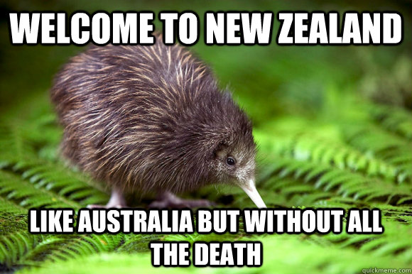Welcome to New Zealand Like Australia but without all the death - Welcome to New Zealand Like Australia but without all the death  Misc