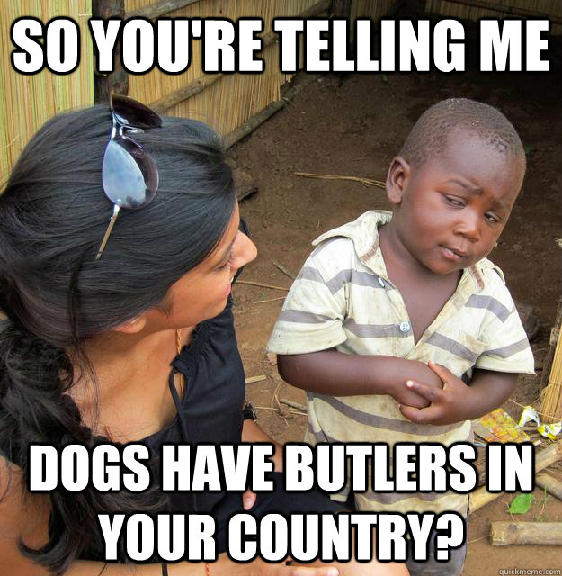 So you're telling me Dogs have butlers in your country? - So you're telling me Dogs have butlers in your country?  Skeptical Third World Child