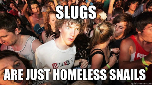 Slugs are just homeless snails   Sudden Clarity Clarence