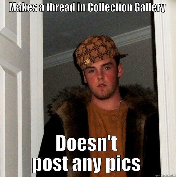 MAKES A THREAD IN COLLECTION GALLERY DOESN'T POST ANY PICS Scumbag Steve