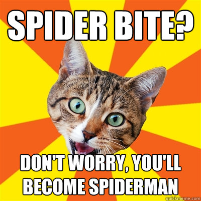 spider bite? don't worry, you'll become spiderman  Bad Advice Cat