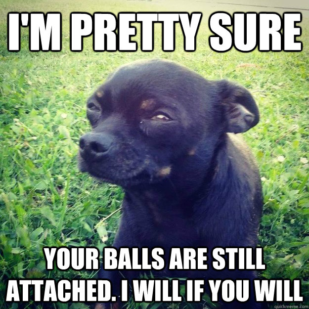 I'M PRETTY SURE your balls are still attached. i will if you will - I'M PRETTY SURE your balls are still attached. i will if you will  Skeptical Dog