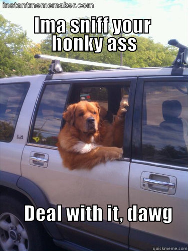    Deal with it dawg