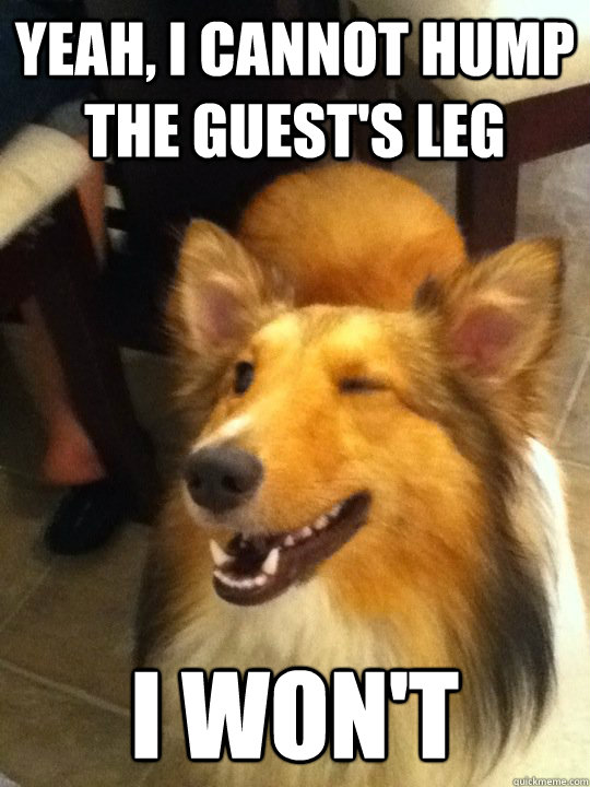 Yeah, I cannot hump the guest's leg I Won't  implying dog