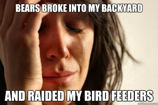 Bears broke into my backyard and raided my bird feeders  First World Problems