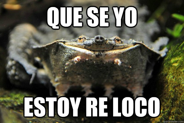 Que se yo Estoy re loco - Que se yo Estoy re loco  Re loco