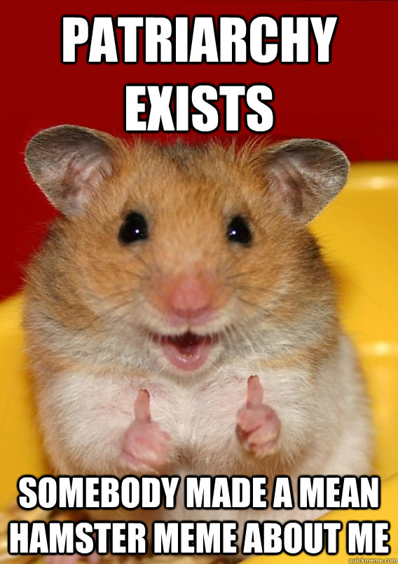 Patriarchy exists Somebody made a mean hamster meme about me   Rationalization Hamster