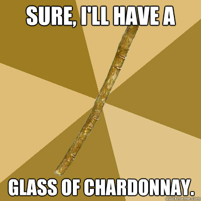 Sure, I'll have a glass of chardonnay. - Sure, I'll have a glass of chardonnay.  Boring Stick