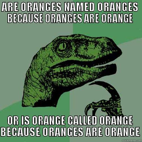 ARE ORANGES NAMED ORANGES BECAUSE ORANGES ARE ORANGE OR IS ORANGE CALLED ORANGE BECAUSE ORANGES ARE ORANGE Philosoraptor
