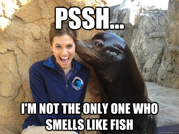 Pssh... I'm not the only one who smells like fish - Pssh... I'm not the only one who smells like fish  Sea Lion