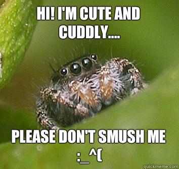 Hi! I'm cute and cuddly.... Please don't smush me :_^(  Misunderstood Spider
