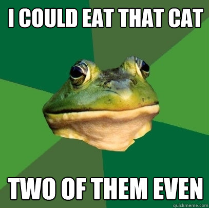 i could eat that cat two of them even  Foul Bachelor Frog