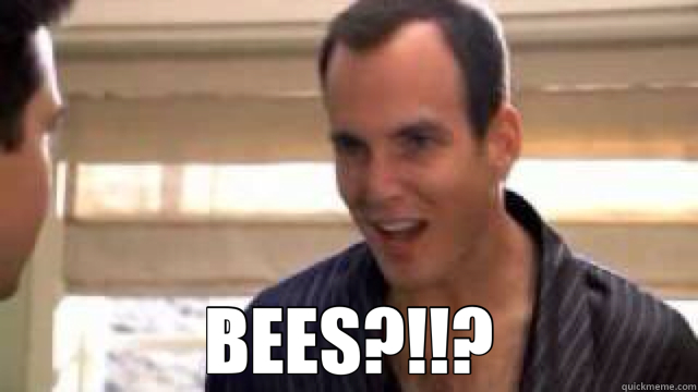  BEES?!!? -  BEES?!!?  bees gob