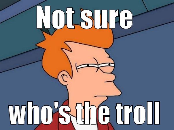 NOT SURE WHO'S THE TROLL Futurama Fry