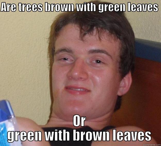 What is the answer? He wants to know. - ARE TREES BROWN WITH GREEN LEAVES  OR GREEN WITH BROWN LEAVES 10 Guy