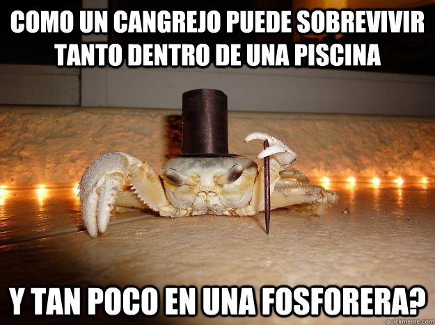 Como un cangrejo puede sobrevivir tanto dentro de una piscina y tan poco en una fosforera?  Fancy Crab