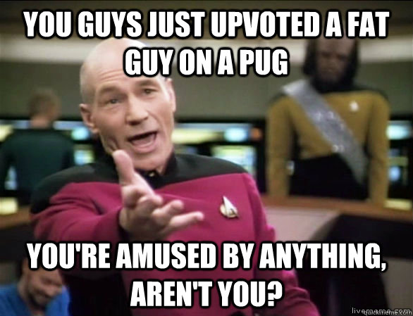 YOU GUYS JUST UPVOTED A FAT GUY ON A PUG YOU'RE AMUSED BY ANYTHING, AREN'T YOU?  Annoyed Picard HD