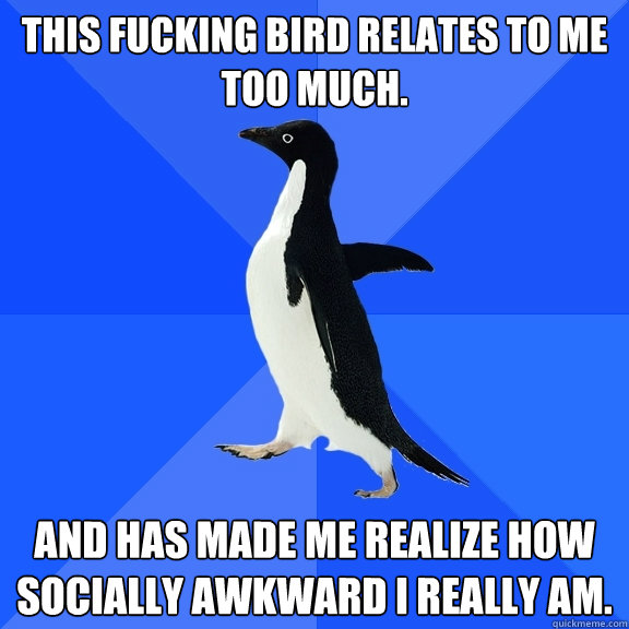 This fucking bird relates to me too much. And has made me realize how socially awkward i really am.  Socially Awkward Penguin