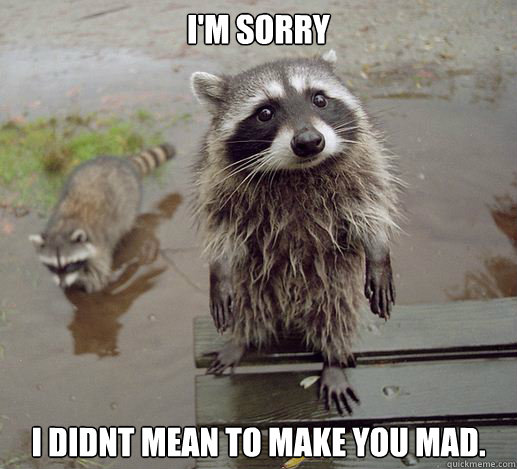 I'm sorry  
I didnt mean to make you mad. - I'm sorry  
I didnt mean to make you mad.  Sympathy Coon