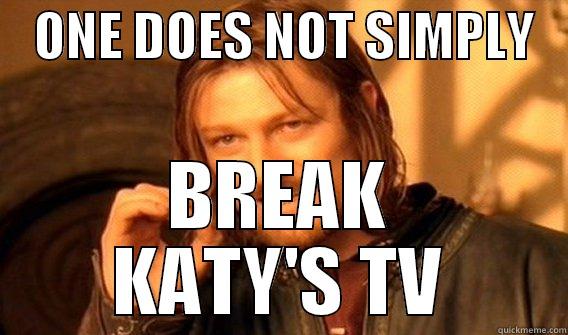 Broken TV -    ONE DOES NOT SIMPLY    BREAK KATY'S TV One Does Not Simply