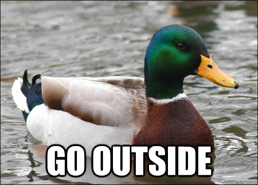  Go outside  -  Go outside   Actual Advice Mallard