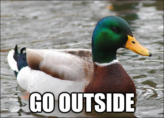  Go outside   Actual Advice Mallard