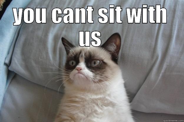 you cant sit with us - YOU CANT SIT WITH US  Grumpy Cat