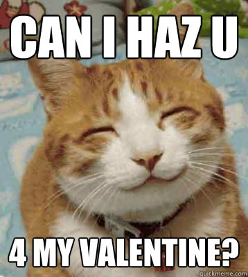 can i haz u 4 my valentine? - can i haz u 4 my valentine?  Valentine Cat