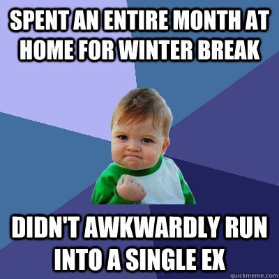 Spent an entire month at home for winter break didn't awkwardly run into a single ex  Success Kid