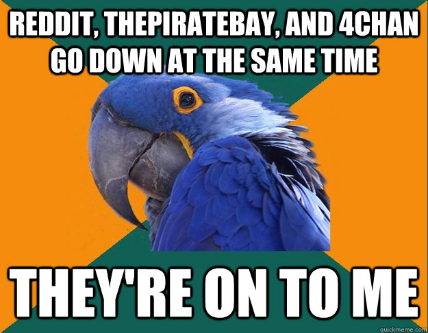 Reddit, thepiratebay, and 4chan go down at the same time they're on to me - Reddit, thepiratebay, and 4chan go down at the same time they're on to me  Paranoid Parrot