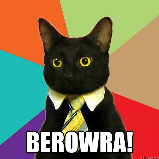 Berowra!  Business Cat