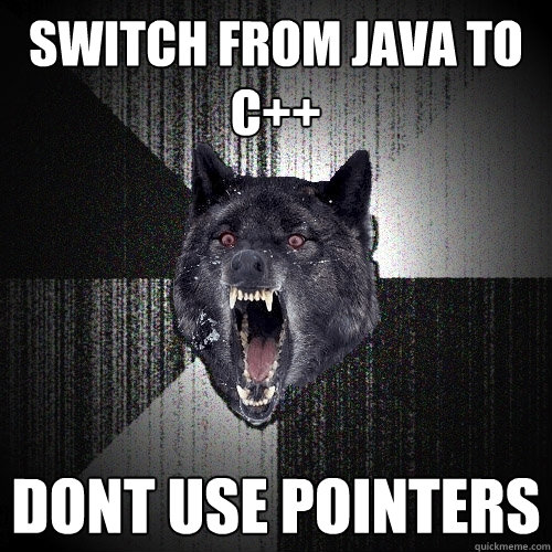 switch from java to c++ Dont use pointers  Insanity Wolf